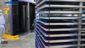 Heuch-Cooling-Solutions-Freeze-Drying-Australia-Fruit