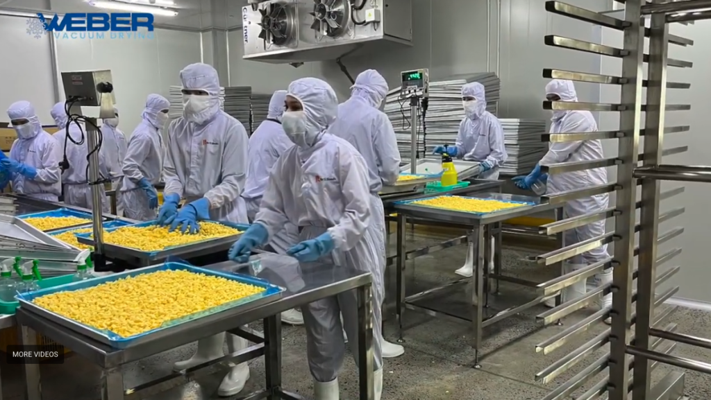 Heuch-Cooling-Solutions-Freeze-Drying-Australia-Fruit