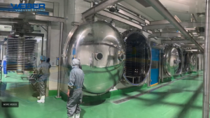 Heuch-Cooling-Solutions-Freeze-Drying-Australia-Fruit